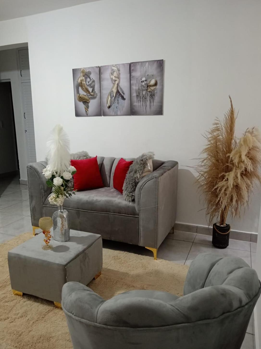 Apartamentos De 1 2 Y 3 Habitaciones Santiago De Los Caballeros Dış mekan fotoğraf