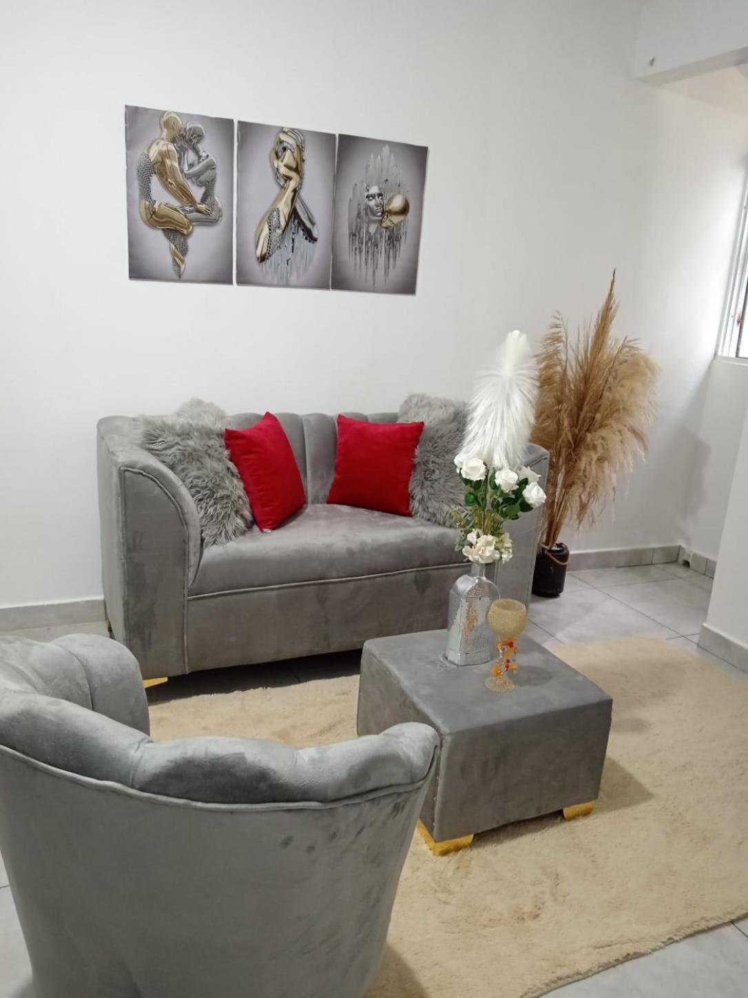 Apartamentos De 1 2 Y 3 Habitaciones Santiago De Los Caballeros Dış mekan fotoğraf