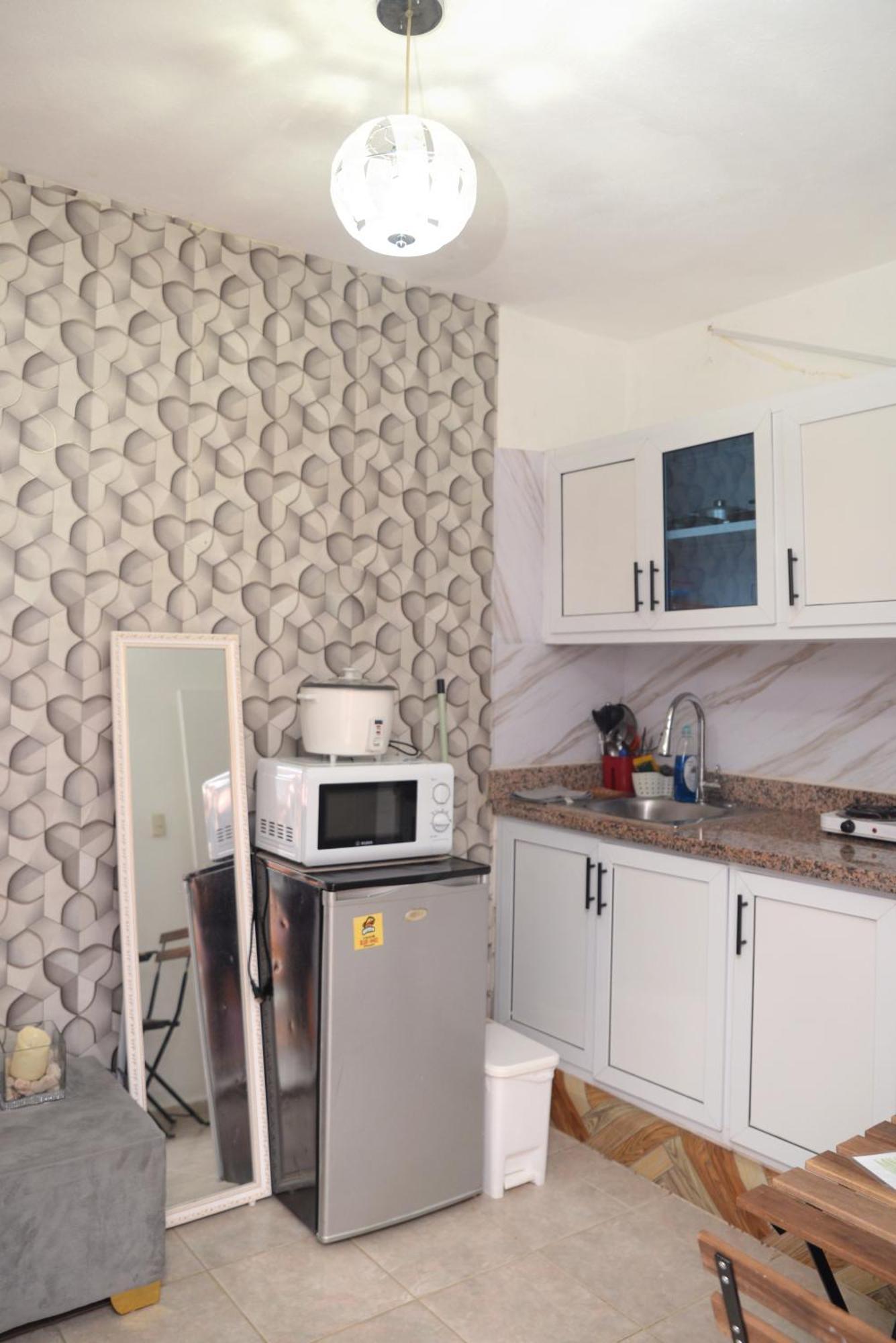 Apartamentos De 1 2 Y 3 Habitaciones Santiago De Los Caballeros Oda fotoğraf